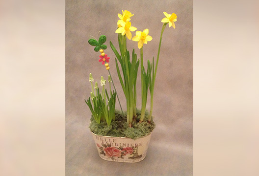 Композиция из горшечных растений «Весна»